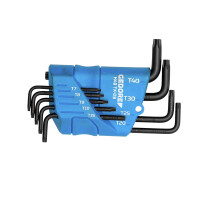 Winkelschraubendreher-Satz