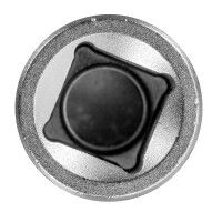 Schraubendr.Einsatz 1/2 TX T55 L.100mm 3