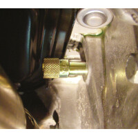 Arretierdorn-Satz Ford 1.4 / 1.6 HDI, TDCi 3