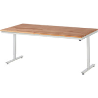 Rau Höhenverstellbarer Arbeitstisch gallery