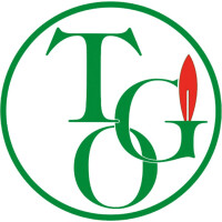 TGO Propan-Anwärmset, Standard für 5-33kg Flasche 