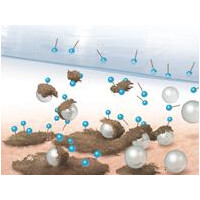 Greven Reinigungslotion, Active Pearls 250ml 2