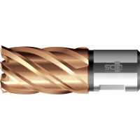 BDS Kernbohrer HSS, 12x30mm Vario Plus K gallery