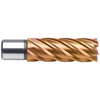 BDS Kernbohrer HSS, 16x55mm Vario Plus K gallery