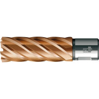 BDS Kernbohrer HSS, 29x55mm Vario Plus K gallery