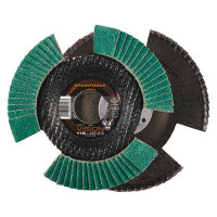 Rhodius Schleifmopteller, LFZ F Vision 1 gallery